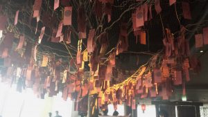 Hutong tree, The Shard