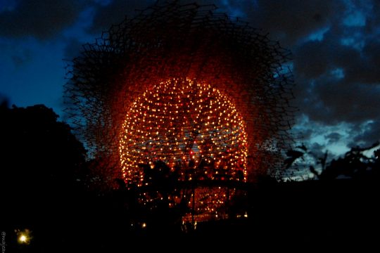 The Hive - Kew gardens night