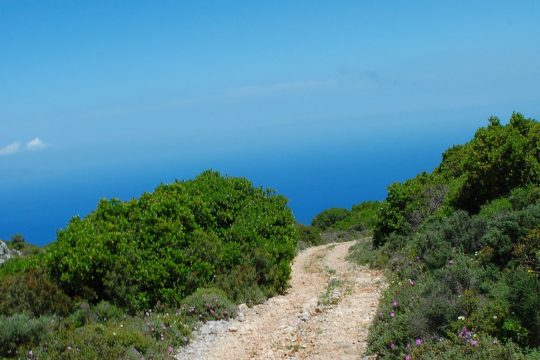 making plans for the future - off beaten track with blue skies