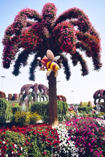 5 things no one tells you about travel - Dubai Miracle Gardens