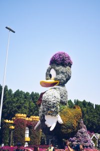 my 2019 travel review- Dubai miracle gardens