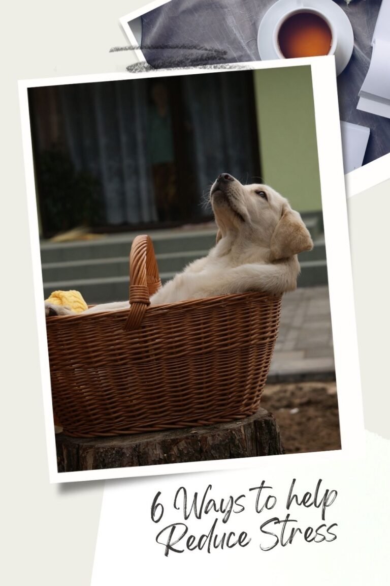 Help Us Reduce 6 Ways to Help You to Reduce Stress - Majean G