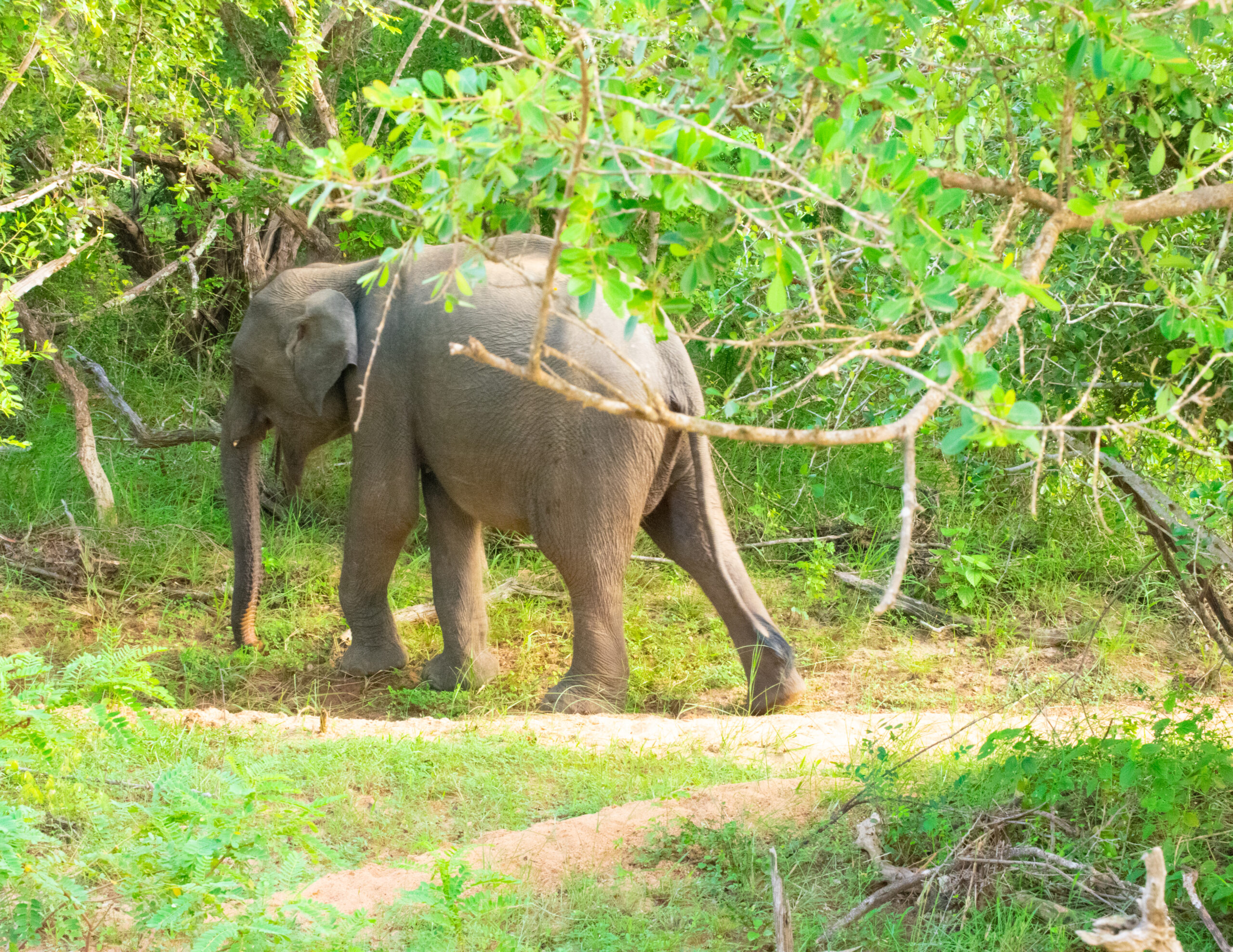 8 mindset shifts that improved my life www.majeang.com